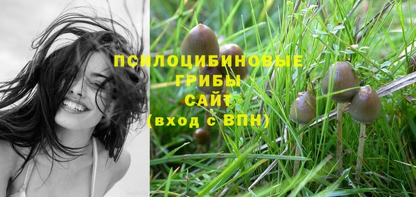 эйфоретик Алексеевка