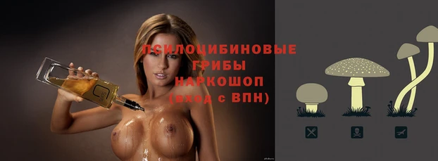 дмт Абинск